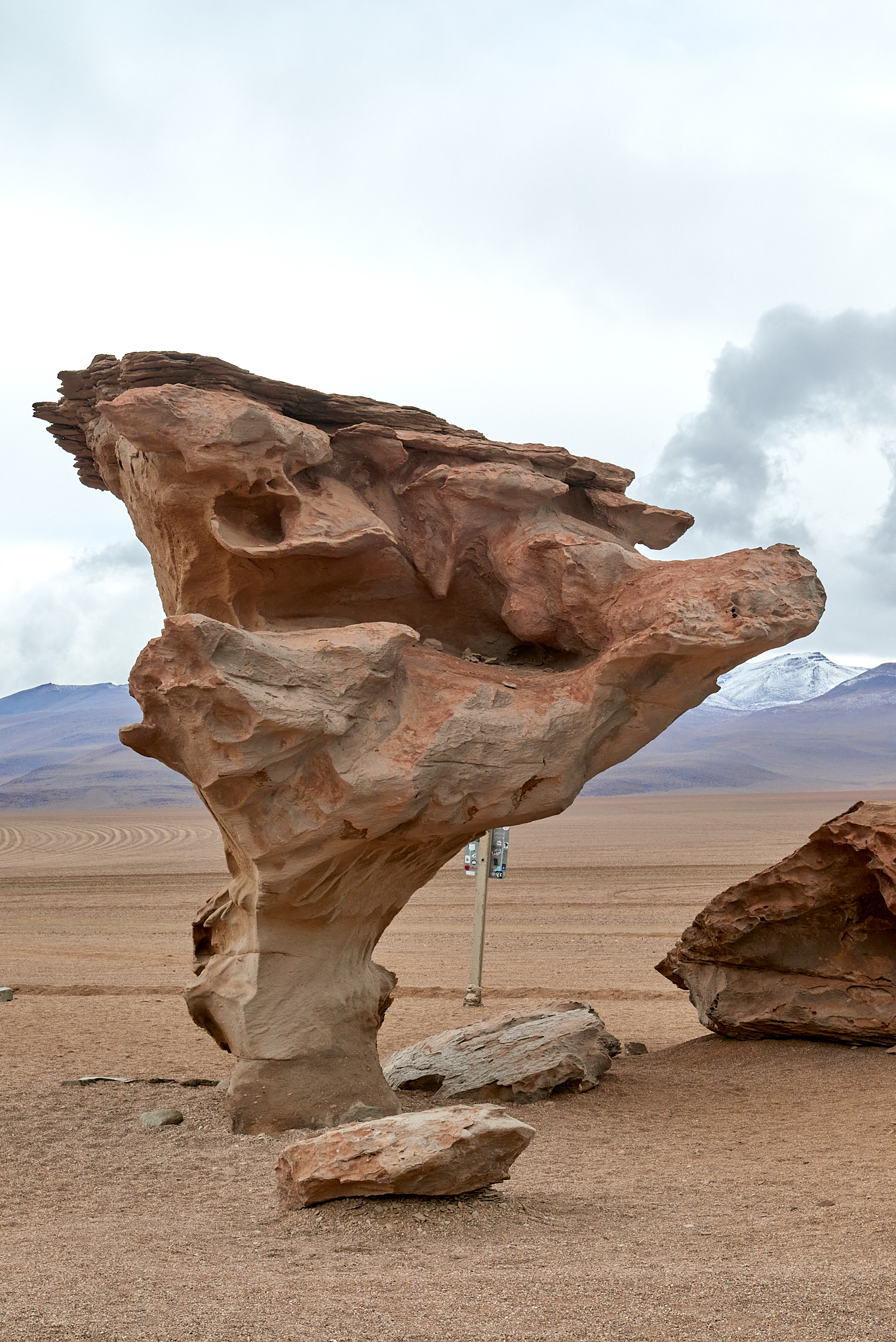 20200313 514 [볼리비아] 아르볼 데 삐에드라 돌 나무